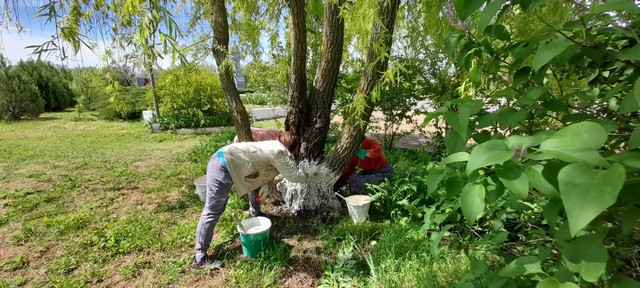 photo 22 05 2025 01