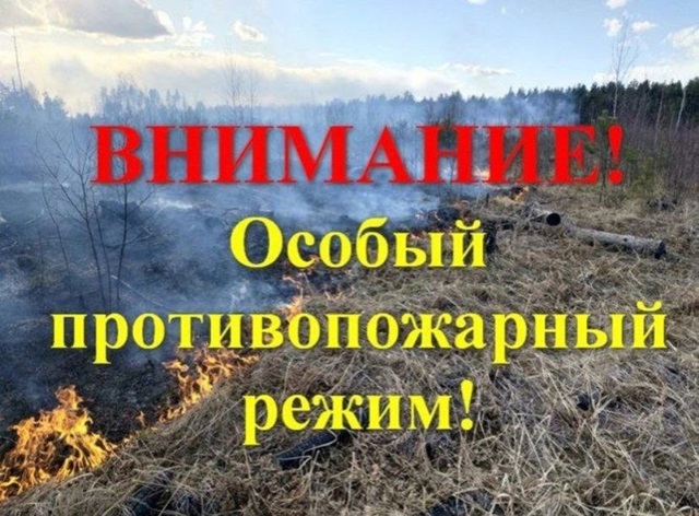 photo 02 06 2025 01