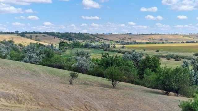 photo 24 06 2025 03
