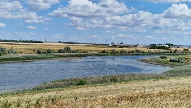 photo 24 06 2025 04