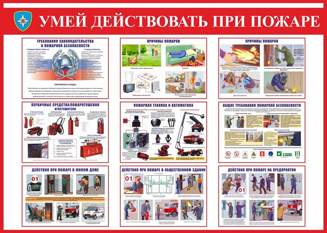 foto 2025 08 08 16 54 009